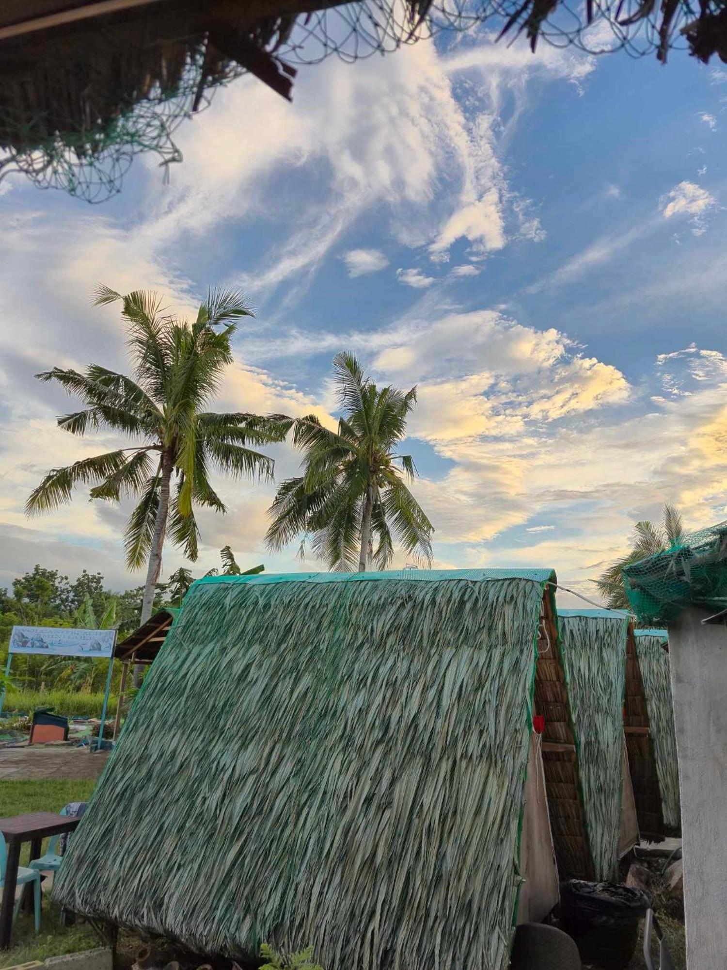 Nirvana Resort & Dive Centre - Moalboal Exterior photo